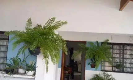 Casa para Venda em Limeira, Jardim Caieira, 4 dormitórios, 2 banheiros, 2 vagas