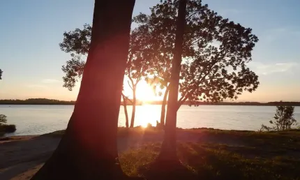 Terreno à venda na Rua Geral do Forte, 55, Praia do Ervino, São Francisco do Sul