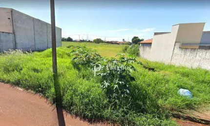 Terreno à venda, 250 m² por R$ 150.000,00 - Jardim Padovani - Londrina/PR