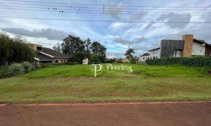 Terreno à venda, 1686 m² por R$ 760.000 - Esperança - Londrina/PR