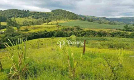 Chácara / sítio com 3 quartos à venda na Fazenda Brasil, Zona Rural, Tamarana