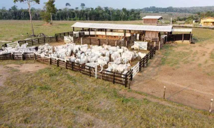 Fazenda à venda na Br-421, Apoio BR-421, Ariquemes