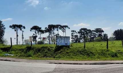 Terrenos / Lotes / Condomínio  em Rio Pequeno  -  São José dos Pinhais