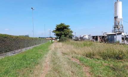 Terreno para locação em Costeira  -  São José dos Pinhais