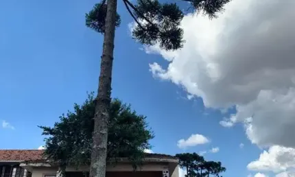 Ponto comercial com 1 sala à venda na Rua Capiberibe, Portão, Curitiba