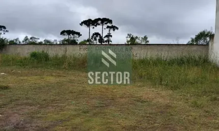Ponto comercial à venda na Av. Sen. Souza Naves, Três Marias, São José dos Pinhais