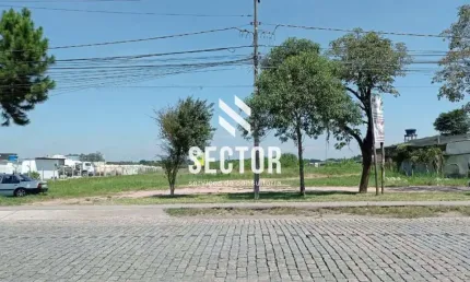 Terreno para locação em Colônia Murici  -  São José dos Pinhais