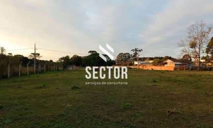 Terreno para locação São José dos Pinhais - Rio Pequeno