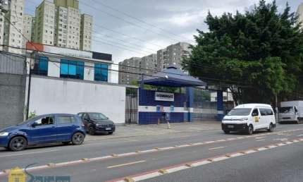 Prédio com 10 salas para alugar na Vila Amélia, São Paulo 