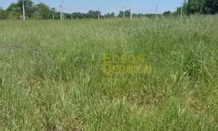 Lote/Terreno à Venda, Novo Morumbi - Pindamonhangaba