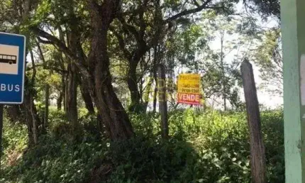 Chácara / sítio à venda no Ribeirão Grande, Pindamonhangaba 