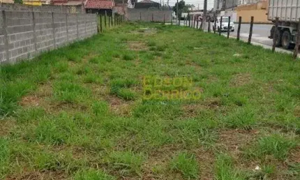 Terreno à venda, 415 m² por R$ 245.000,00 - Residencial Parque das Palmeiras - Pindamonhangaba/SP