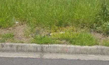 Terreno à venda, 264 m² por r$ 260.000 - residencial bosque do imperador - pindamonhangaba/sp