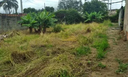 Terreno à venda, 270 m² por R$ 125.000,00 - Conjunto Residencial Araretama - Pindamonhangaba/SP