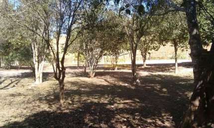 Sítio à venda, 70000 m² por R$ 1.090.000,00 - Sete Voltas - Taubaté/SP