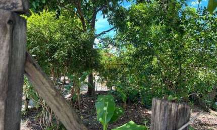 Terreno à venda, 253 m² por R$ 115.000,00 - Conjunto Habitacional Terra dos Ipês I (Norte) - Pindamonhangaba/SP