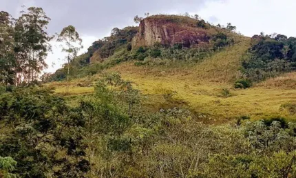Sítio à venda, 107776 m² por r$ 799.000,00 - pinga - pindamonhangaba/sp