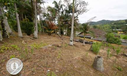 Terreno à venda no Itoupava Central, Blumenau , 610 m2 por R$ 650.000