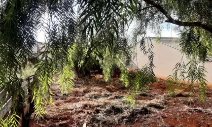 Terreno à venda na Rua Carlos Montovani, S/N, Jardim Cidade Alta, Cambé