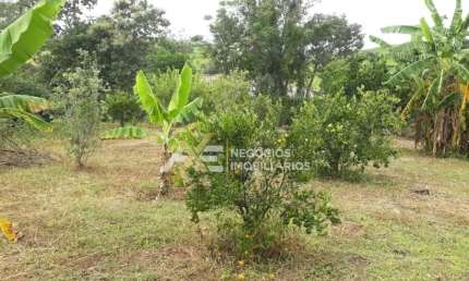Terreno em condomínio fechado à venda na Rua Da Acerola, g11, Centro, Ibiporã