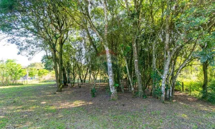 Terreno à venda na Rua Porto Alegre, 1111, Mato Alto, Gravataí