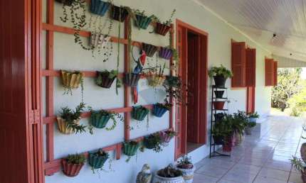 Chácara / sítio com 3 quartos à venda na Vila Palmeira, Santo Antônio da Patrulha 