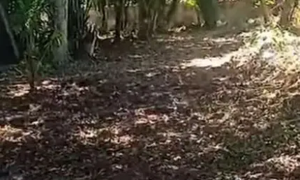 Terreno à venda na Bairro Arraial D'Ajuda, 8054, Arraial D´Ajuda, Porto Seguro por R$ 1.300.000