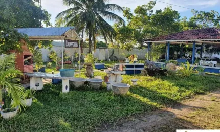 Chácara / sítio com 5 quartos à venda na centro, 1, centro, lucena por r$ 600.000