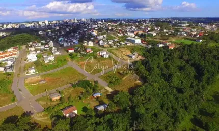 Terreno à venda na Rua Horácio Madalosso, Vicentina, Farroupilha