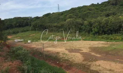 Terreno à venda na Rodovia RSC-122, Linha 40, Caxias do Sul