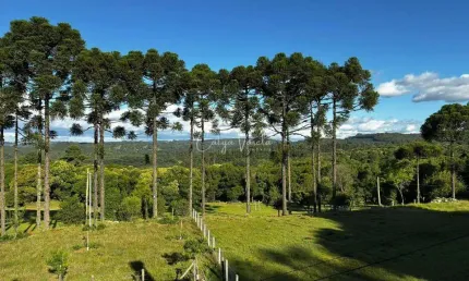 Chácara / sítio à venda na rua ismael josé rangel de castilhos, ana rech, caxias do sul por r$ 1.800.000