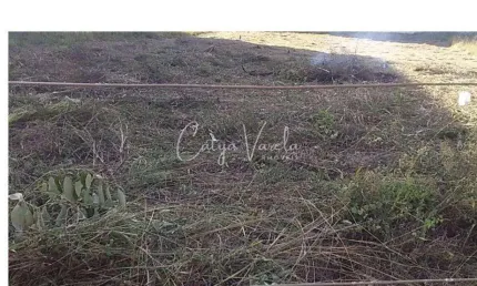 Terreno à venda na Rua Ely Luiz Scalabrin, Cidade Nova, Caxias do Sul