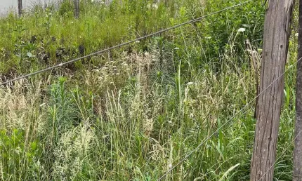 Terreno à venda na rua ernesto grazziotin, sanvitto, caxias do sul por r$ 580.000