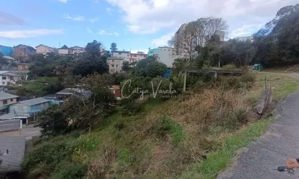 Terreno à venda na Rua Monsenhor Compagnoni, Universitário, Caxias do Sul