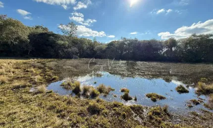 Chácara / sítio à venda na Fazenda De Ilheus, Criúva, Caxias do Sul
