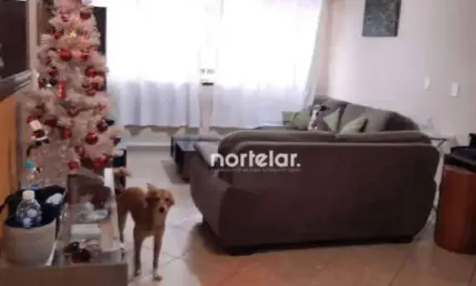 Sobrado com 4 dormitórios à venda, 150 m² por R$ 748.000,00 - Limão - São Paulo/SP