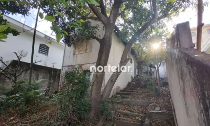 Terreno à venda, 290 m² por R$ 590.000,00 - Parque São Domingos - São Paulo/SP