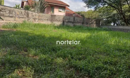 Terreno à venda, 650 m² por R$ 1.350.000,00 - Pirituba - São Paulo/SP