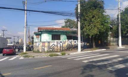 Terreno à venda, 330 m² por R$ 1.500.000,00 - Jardim Santo Elias - São Paulo/SP