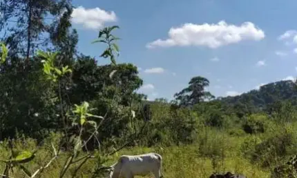 Terreno à venda na Serra Negra, 218, Liberatos, Betim por R$ 165.000