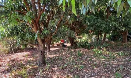 Terreno à venda, 524 m² por R$ 340.000,00 - Jardim Recreio - Ribeirão Preto/SP