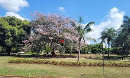 Terreno alto padrão no condomínio royal park, 1014m² à venda, em ribeirão preto/sp - imobiliária em ribeirão preto - brioni imóveis.