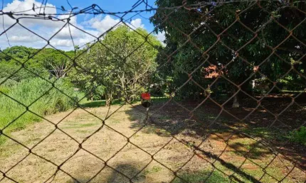 Terreno com 392 m², à venda Jardim Recreio em Ribeirão Preto/SP I Imobiliária Brioni imóveis