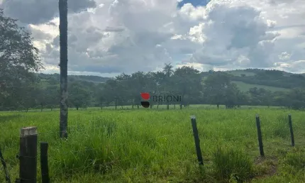 Venda de Sítio em brodowski/sp – Um Paraíso de 6.000 mil Hectares