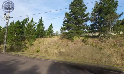 Terreno em condomínio fechado à venda na Avenida Liberdade, 3500, Santa Isabel, Viamão