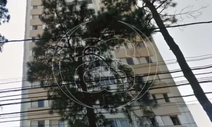Apartamento  para locação no Bairro: Chácara santo Antônio