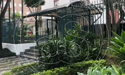 Apartamento com 3 quartos à venda na Rua João Pimenta, 105, Alto da Boa Vista, São Paulo