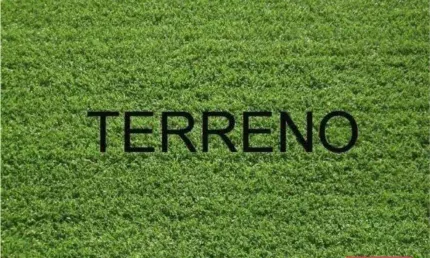 Terreno à venda, 1270 m² por R$ 1.900.000,00 - Alphaville I - Ribeirão Preto/SP