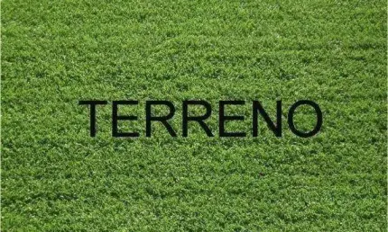 Terreno à venda, 300 m² por R$ 500.000,00 - Alto da Boa Vista - Ribeirão Preto/SP