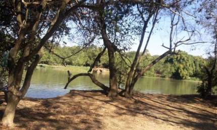 Sítio à venda, 120000 m² por R$ 1.600.000,00 - Guatapará - Guatapará/SP